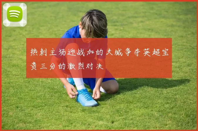 热刺主场迎战加的夫城争夺英超宝贵三分的激烈对决