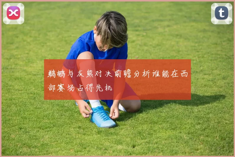 鹈鹕与灰熊对决前瞻分析谁能在西部赛场占得先机
