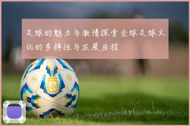 足球的魅力与激情探索全球足球文化的多样性与发展历程