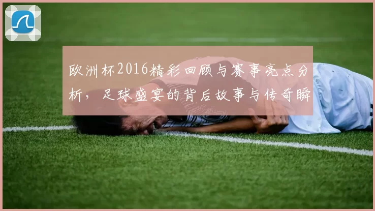 欧洲杯2016精彩回顾与赛事亮点分析，足球盛宴的背后故事与传奇瞬间